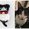 Custom Mini Kitten Plush - Image 3
