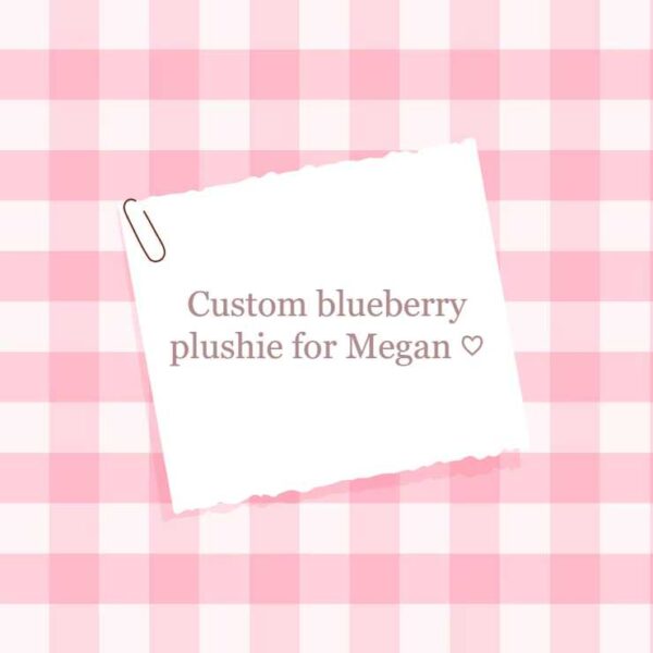 Custom blueberry plushie for Megan