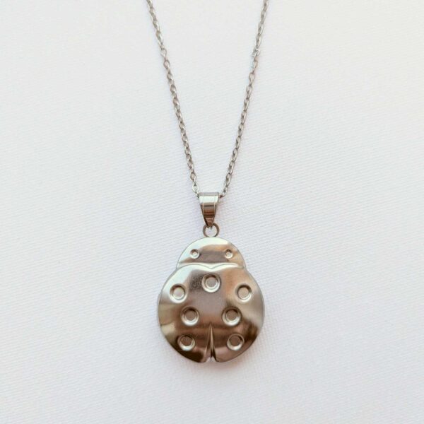 Ladybird Locket